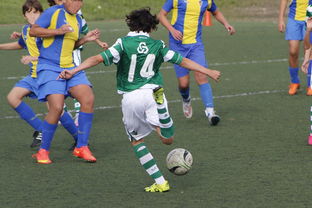 米兰体育平台-中国足球体能与赛程匹配度研究,国家足球队体能标准