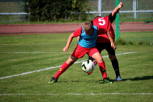 米兰体育入口-中国足球俱乐部运营效率调查，中国足球俱乐部运营效率调查问卷