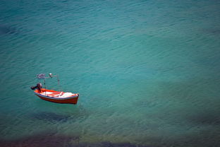 米兰体育官方网站-轻艇马拉松配套嘉年华,市民互动不停歇,赛艇马拉松