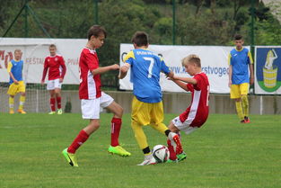 米兰体育官方网站-足球俱乐部财务公开制度促进透明化管理,足球俱乐部财政